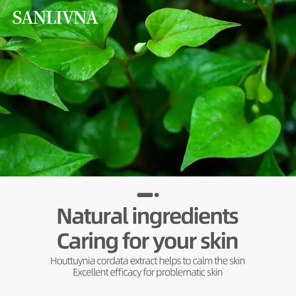 ANUA Heartleaf 77 Toning Pads (160ml)